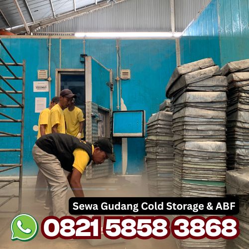 sewa blast freezer bekasi - air blast freezer profesional