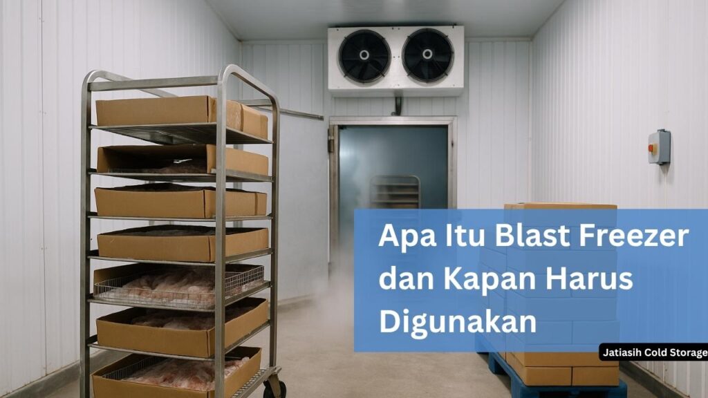 Apa Itu Blast Freezer dan Kapan Harus Digunakan