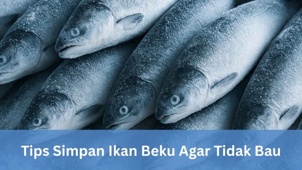 Cara Menyimpan Ikan Beku Agar Tidak Bau